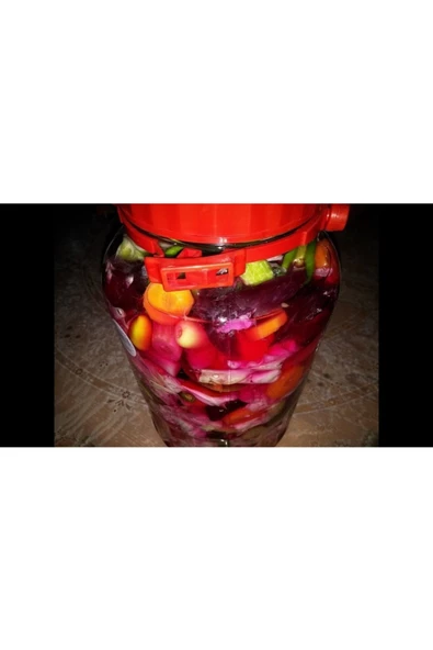 Meşhur Şalgamcı Fikri Dayı Ev Tipi Çubuk Karışık Turşu - 2 kg - 2