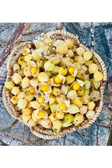 Gan Tarım Altin Cilek (physalis Peruviana) 100 Gr. - 3