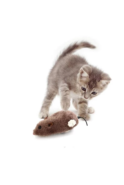 Zeki Karga Kurmalı Tüylü Fare Kedi Eğitim Oyuncağı Hareketli Peluş Oyuncak