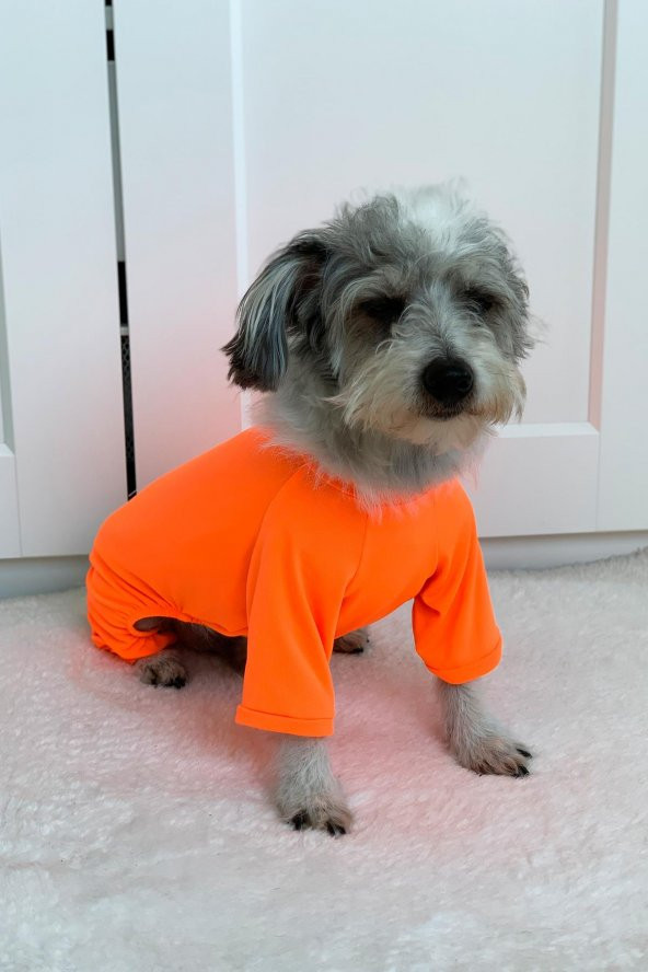 Pinkpati TLM1003 Köpek ve Kedi Kıyafeti Tulum - 1