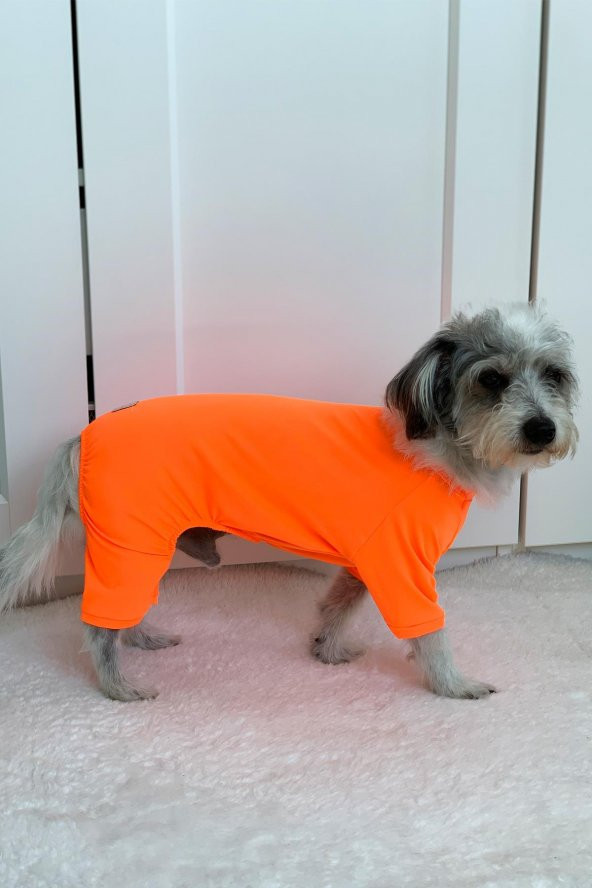 Pinkpati TLM1003 Köpek ve Kedi Kıyafeti Tulum - 2