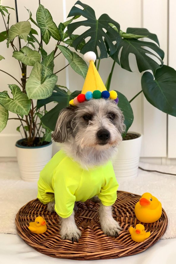 Pinkpati TLM1003 Köpek ve Kedi Kıyafeti Tulum - 5