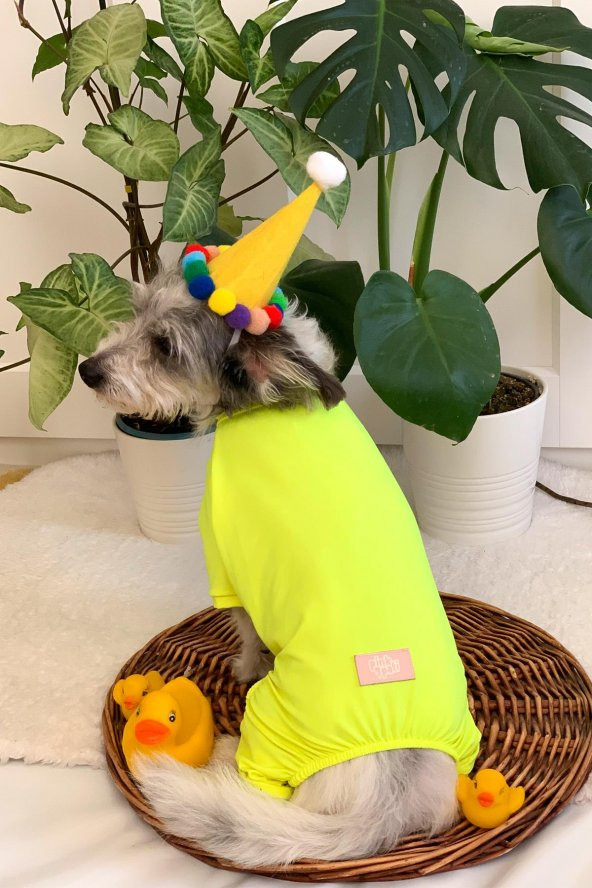 Pinkpati TLM1003 Köpek ve Kedi Kıyafeti Tulum - 7