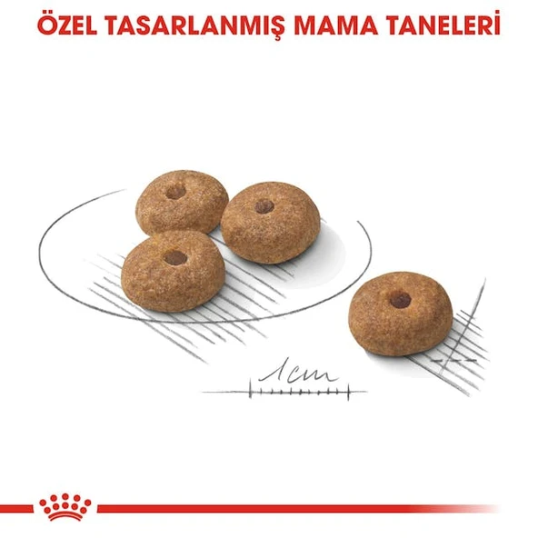 Royal Canin Mini Sterilised Kısırlaştırılmış Köpekler için Yetişkin Köpek Maması 3kg - 6