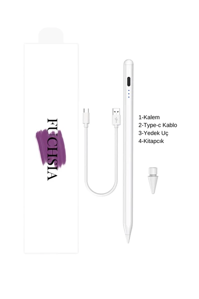 İPad Mini 7.Nesil Uyumlu Avuç İçi Reddetmeli Eğim Hassasiyetli Dokunmatik Yazı Kalemi - 5