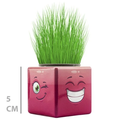 Periboia Çim Adam Mini Küp Emoji Figürlü 1 Adet - 3