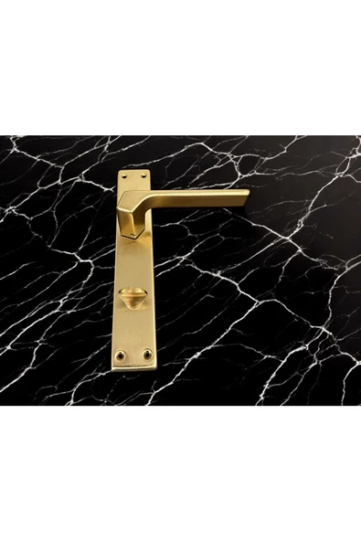 Zey Mat Altın Aynalı Wc Banyo Kapı Kolu İçeriden Sağ Basar 1 Takım - Resim 5
