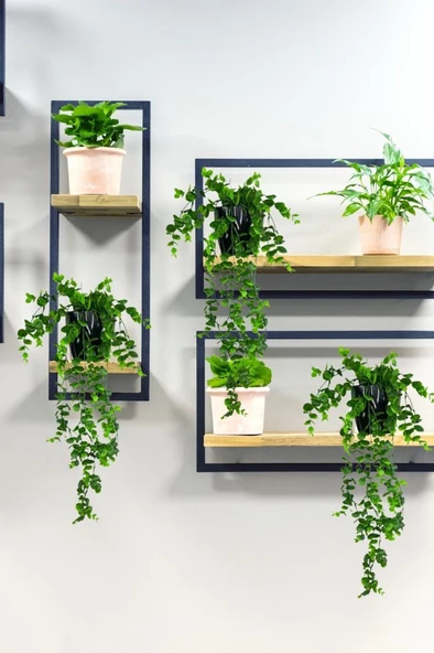 Nettenevime Yapay Çiçek Saksıda Sarkan Şimşir Okaliptus Yapay Sarmaşık 56cm Siyah Saksıda - Resim 7