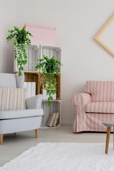 Nettenevime Yapay Çiçek Saksıda Sarkan Şimşir Okaliptus Yapay Sarmaşık 56cm Siyah Saksıda - Resim 4