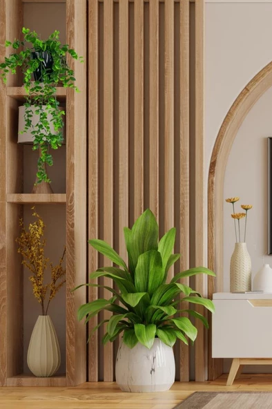 Nettenevime Yapay Çiçek Saksıda Sarkan Şimşir Okaliptus Yapay Sarmaşık 56cm Siyah Saksıda - Resim 5