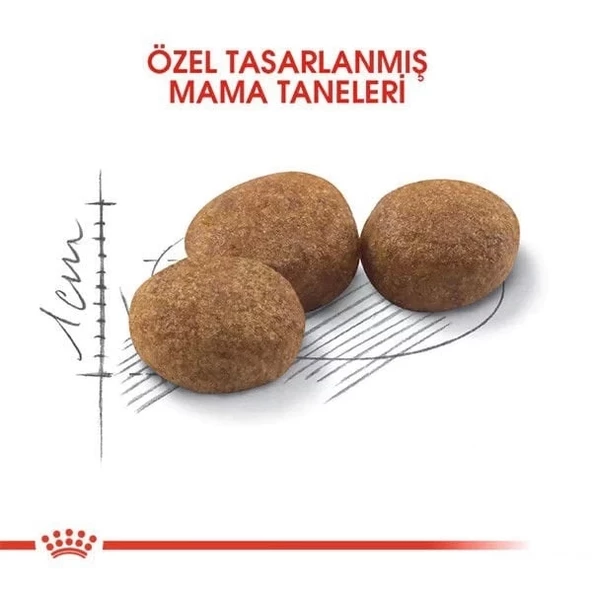 Royal Canin Sterilised Yetişkin Kısırlaştırılmış Kedi Maması 2 Kg - 4