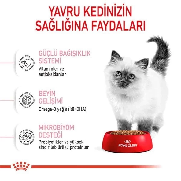 Royal Canin Kitten Yavru Kedi Maması 2 Kg - 4