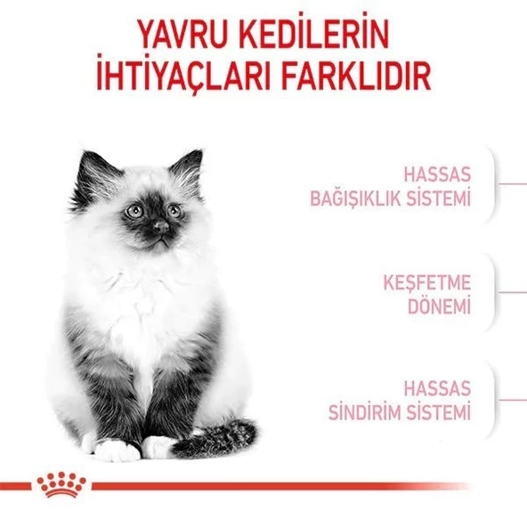 Royal Canin Kitten Yavru Kedi Maması 2 Kg - 2