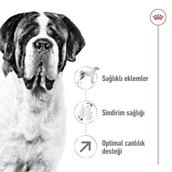 Royal Canin Giant Adult Dev Irk Yetişkin Köpek Maması 15 Kg - 6