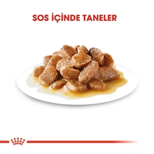 Royal Canin Adult Mini Gravy Pouch Köpek Konserve Maması 85 Gr - 5