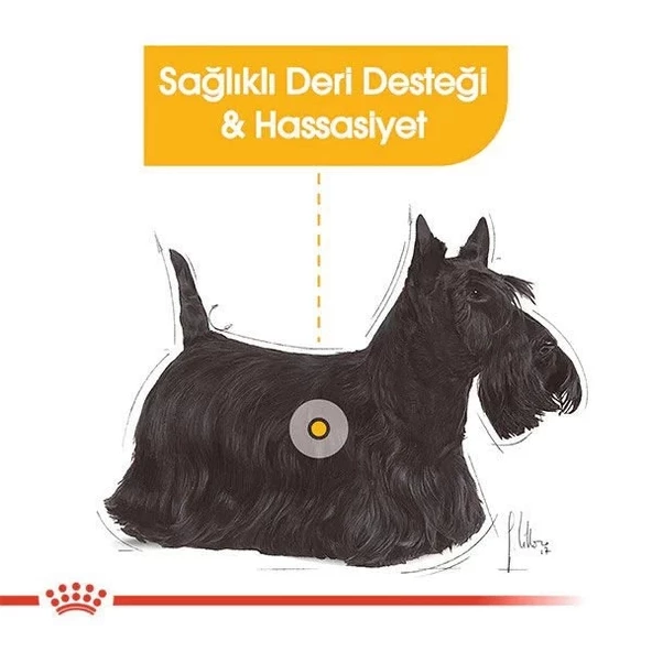 Royal Canin Mini Dermacomfort Yetişkin Köpek Maması 3 Kg - 3