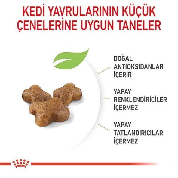 Royal Canin Kitten Yavru Kedi Maması 2 Kg - 5