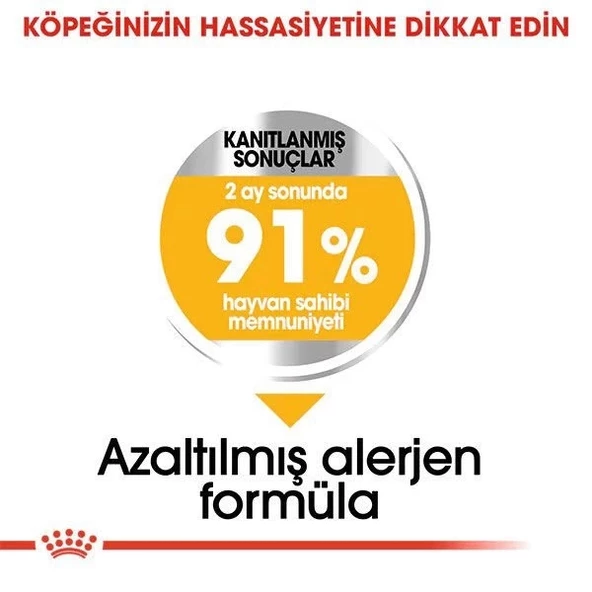 Royal Canin Mini Dermacomfort Yetişkin Köpek Maması 3 Kg - 4
