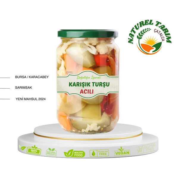 NATUREL KARIŞIK TURŞU