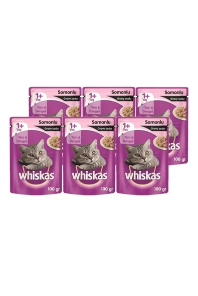 Whıskas Pouch Yas Mama 100gr Somonlu X6