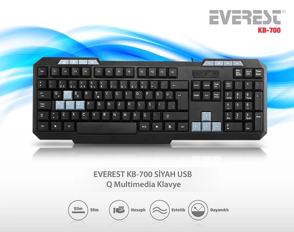 EVEREST Siyah USB Q Multimedia Klavye KB-700