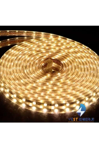 Cata Ct 4553 3 Çip Dış Mekan Hortum Şerit Led Günışığı 10M - 3