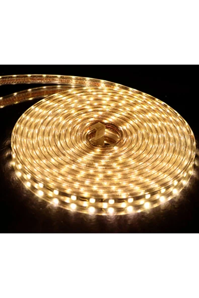 Cata 100 Metre Ct 4553 3 Çip Dış Mekan Hortum Şerit Led Günışığı - 2