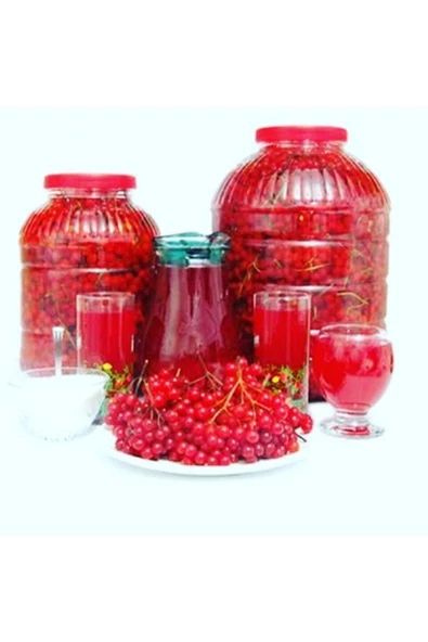 ilhanhome Girabolu Meyvesi 10 Litre 5-5,5kg Lık