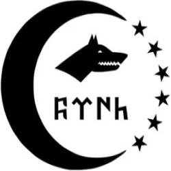 Kurt Hilal Ve Türk Yazı Model 1 Sticker 20 x 20 cm