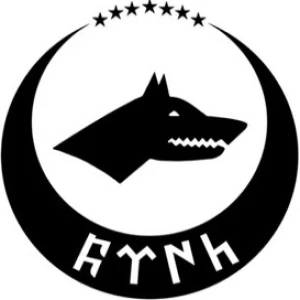 Kurt Hilal Ve Türk Yazı Model 2 Sticker 30 x 30 cm