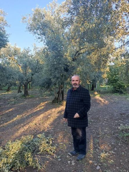 Mehmet İnan Natürel Sızma Zeytinyağı - 5