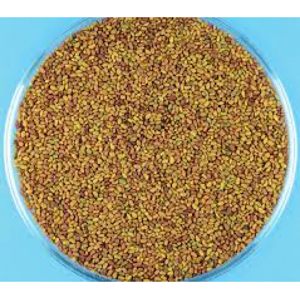 Yonca Tohumu 1 Kg