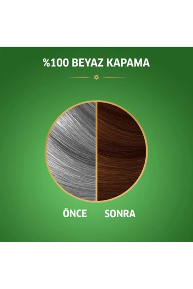 Naturals Saç Boyası Ayışığı Kahvesi 6/73 - 2