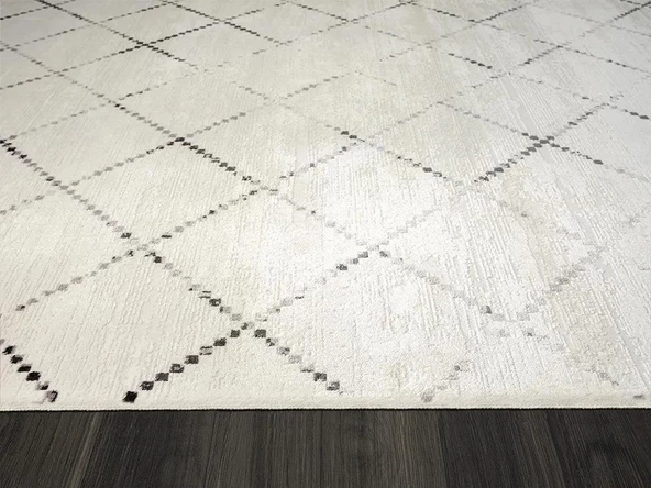 Elegance Eg010a Beyaz Halı Geometrik Detaylı Modern Viskon Doğal Iplik Bambu Halı Tozu Az Salon Halı Özel Ölçü GRI - 5