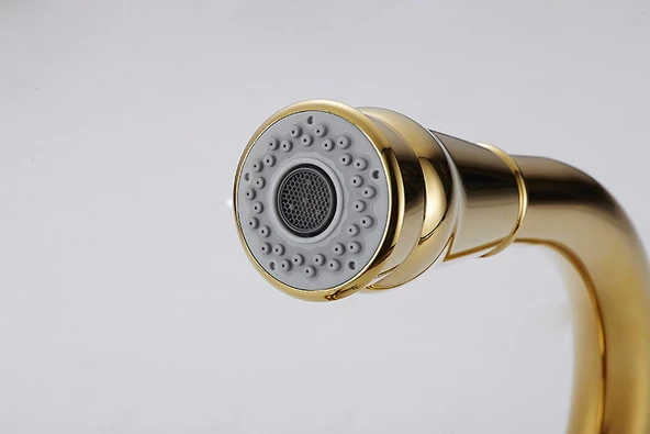Altın Krom 360 Derece Döner Spiral Başıklı Spray Modlu Mutfak Lavabo Evye Bataryası - 5