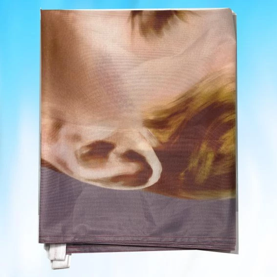 ATATÜRK RESMİ 450X300 cm - 2