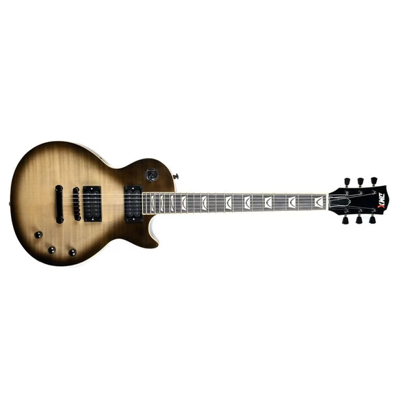 Dmx Guitars DALP200 Antique Silverburst Les Paul Standart Elektro Gitar (Taşıma Çantası Hediyeli) - Resim 2
