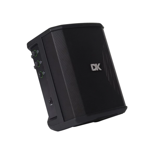 DK Technology IC-150 Akustik Gitar Amfisi - Resim 2