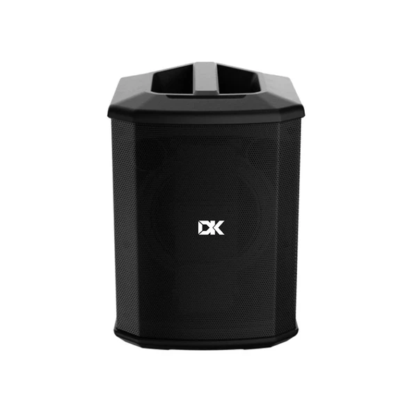 DK Technology IC-150 Akustik Gitar Amfisi ürün görseli