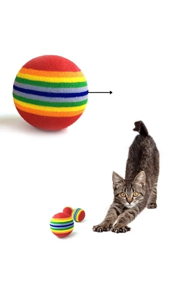 3 lü Gökkuşağı Sünger Kedi Köpek Çiğneme Oyun Topu 4,2 Cm Diş Çıkarma Interaktif Oyuncak - 3