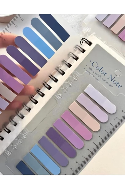 Hayal sepeti 10 Renkli Cetvelli lila-somon-mavi-giri-laci Tonları Şeffaf Pet Indeks Postit / Post-it - 3