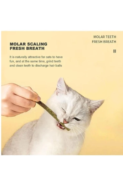 TİNEKE 6 Adet Doğal Meyve Aromalı Matatabi Çubuğu Catnip Stick Kedi Catnip Dalı   Gall-Fruıt-Stick - 2