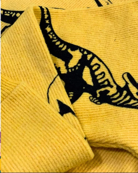 Dinozor Baskılı Kapüşonlu Erkek Çocuk Sweatshirt (Sarı) - 5