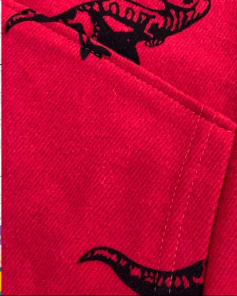Dinozor Baskılı Kapüşonlu Erkek Çocuk Sweatshirt (Kırmızı) - 4