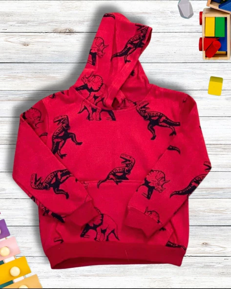 Dinozor Baskılı Kapüşonlu Erkek Çocuk Sweatshirt (Kırmızı) - 2