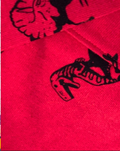Dinozor Baskılı Kapüşonlu Erkek Çocuk Sweatshirt (Kırmızı) - 6