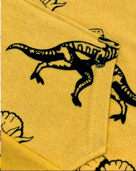 Dinozor Baskılı Kapüşonlu Erkek Çocuk Sweatshirt (Sarı) - 4
