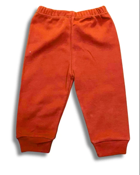 Çizgili Bear Baskılı Erkek Bebek Takım (Kiremit) - Resim 3