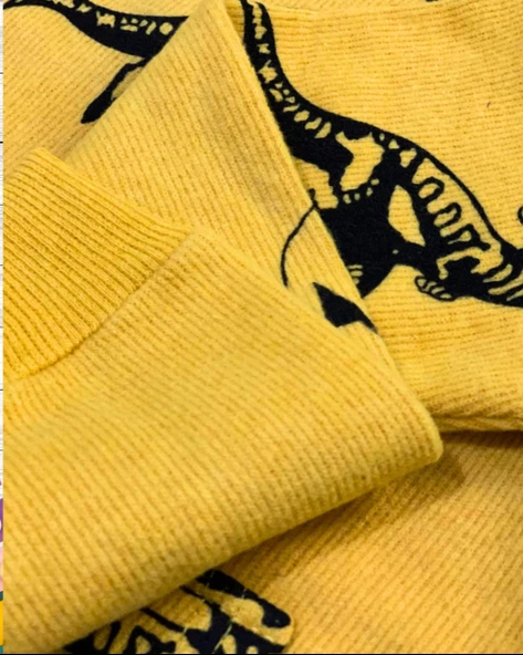 Dinozor Baskılı Kapüşonlu Erkek Çocuk Sweatshirt (Sarı) - 6