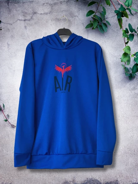 Air Baskılı Kapüşonlu Swaetshirt (Mavi) - Resim 4